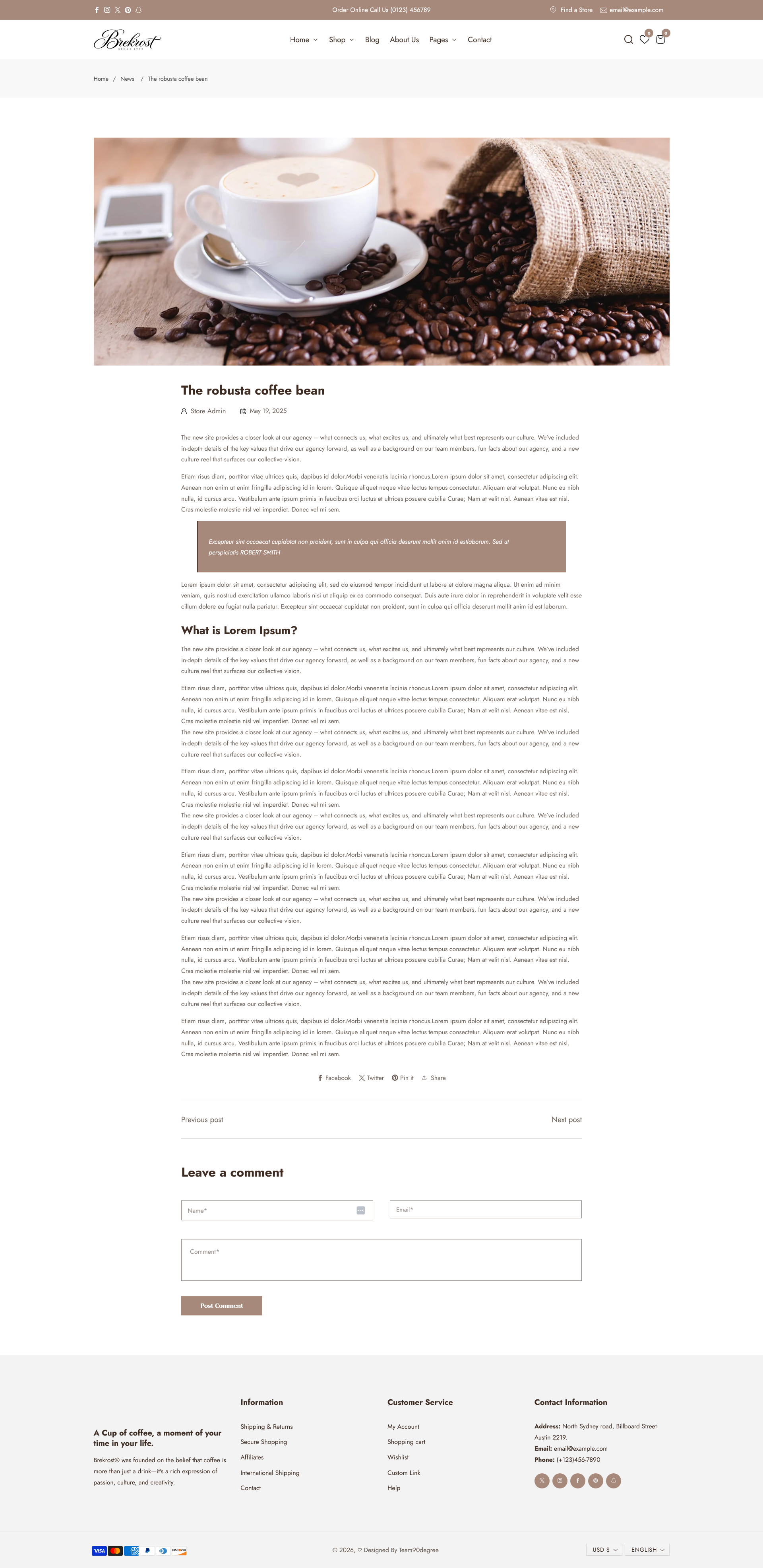 Single blog post preview